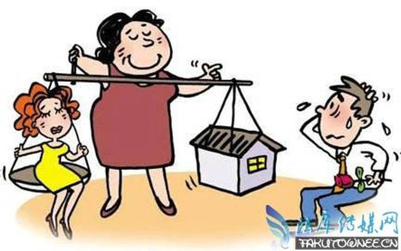 女婿和丈母娘发生房产纠纷-第1张图片-波音达百科