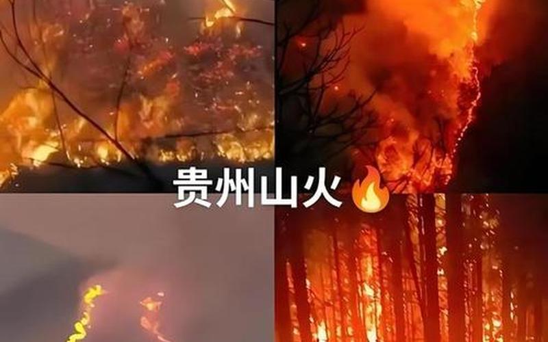 毕节疫情最新消息-第1张图片-波音达手游百科