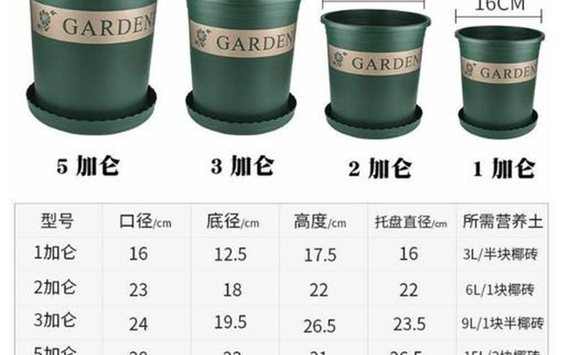 一加仑等于多少公升-第1张图片-波音达手游百科