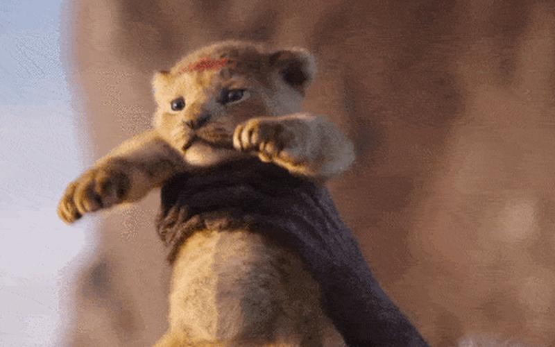 欲钱买呆头呆脑的动物-第1张图片-波音达百科