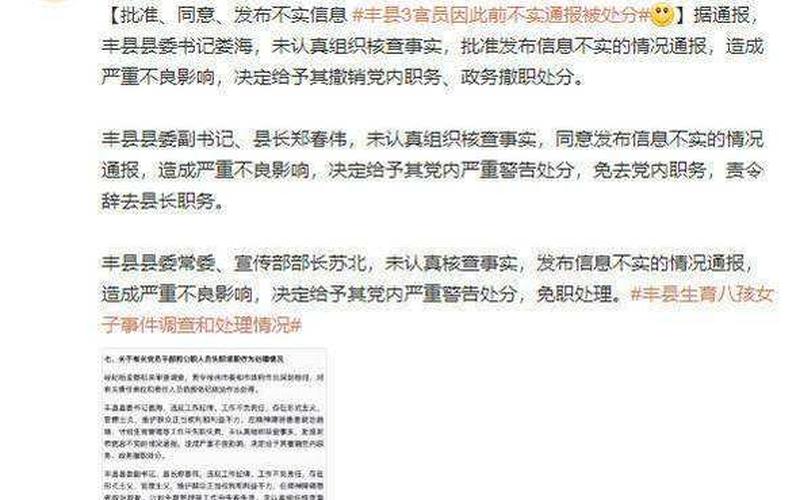 丰县8孩女子确系小花梅 17人被问责-第1张图片-波音达百科