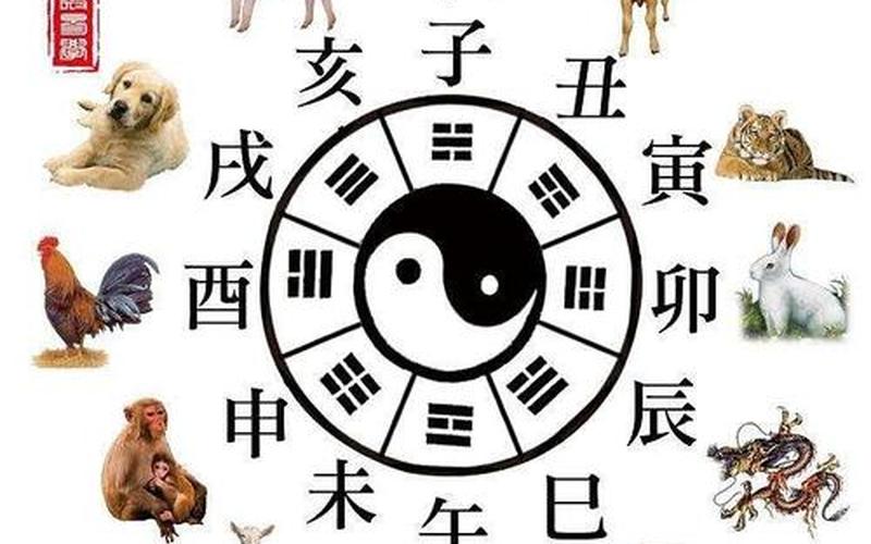 不伤脾胃是什么生肖-第1张图片-波音达百科