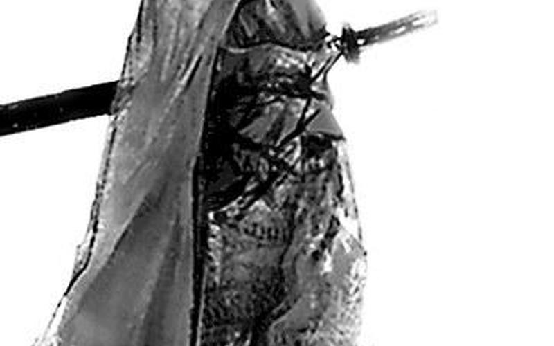 刀光剑影不是我门派-第1张图片-波音达百科