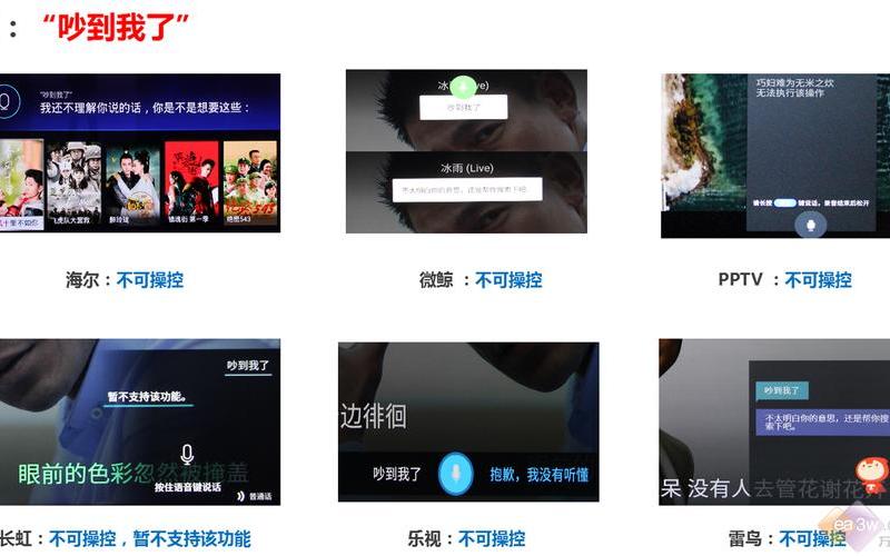 今天语音搜索了吗-第1张图片-波音达百科