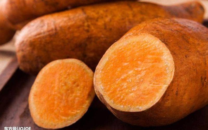 红薯的功效与作用减肥-第1张图片-波音达百科