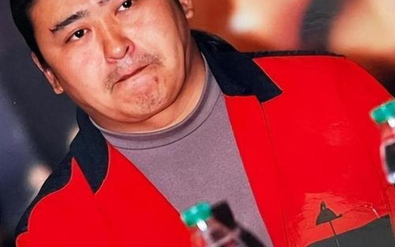 刘欢股骨头坏死近况-第1张图片-波音达百科