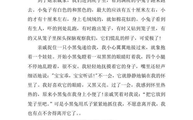 老师你的兔子好大好软水的作文-第1张图片-波音达百科