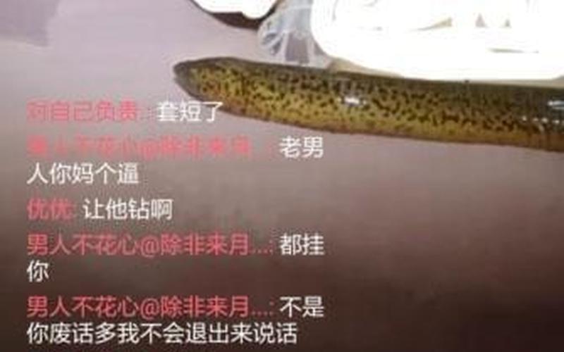 女主播黄鳝门事件-第1张图片-波音达百科
