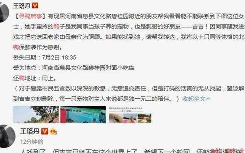 警方回应王珞丹寻鸭启事-第1张图片-波音达百科
