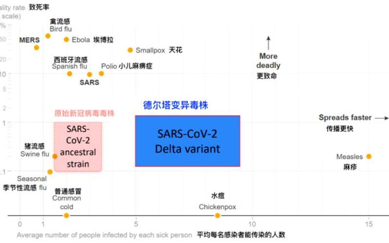 德尔塔毒株和新冠病毒有什么区别-第1张图片-波音达百科