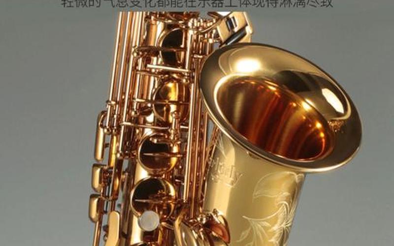 初学者买哪种萨克斯-第1张图片-波音达百科