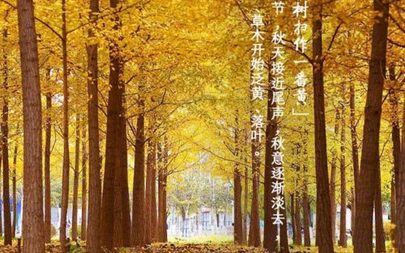 霜降是几月几号2020-第1张图片-波音达手游百科