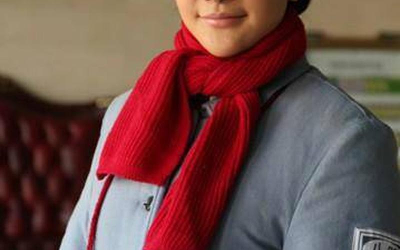 红色利剑剧情介绍-第1张图片-波音达百科