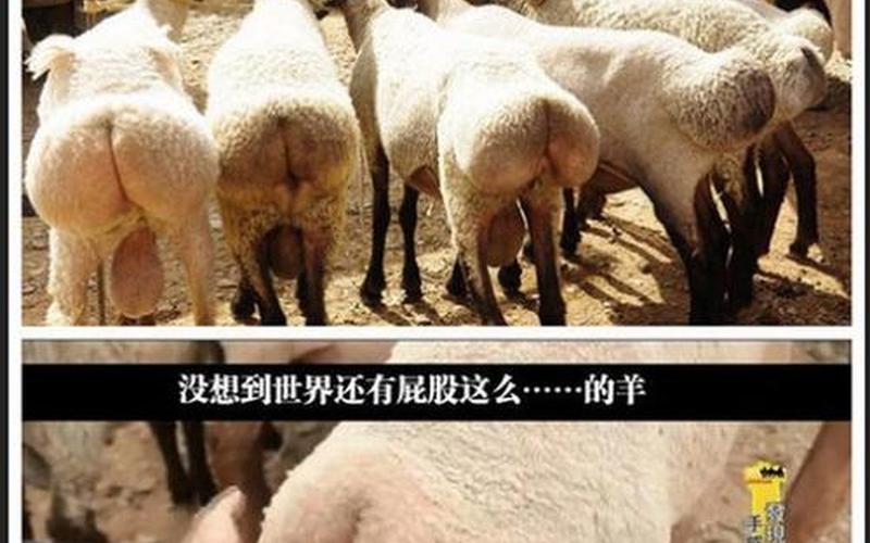 三根一起玩真的不会坏掉吗-第1张图片-波音达手游百科