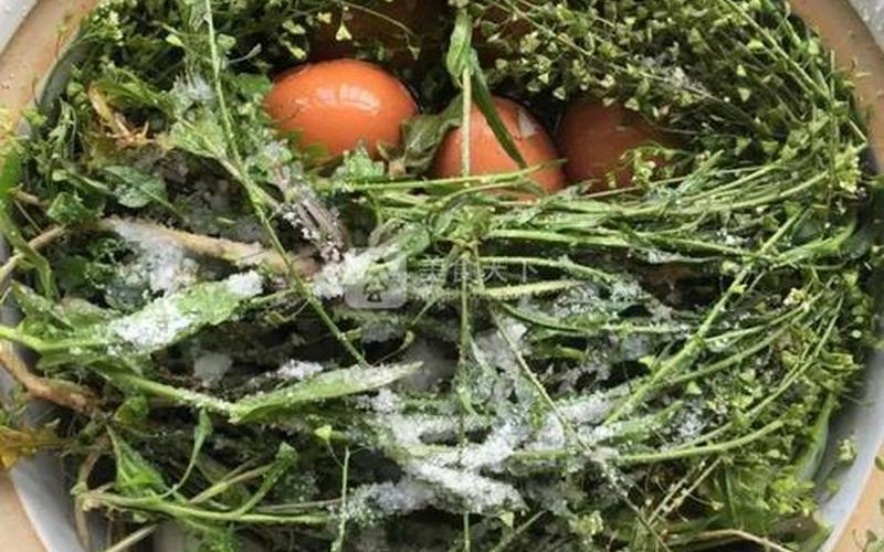 荠菜煮鸡蛋吃死人-第1张图片-波音达百科