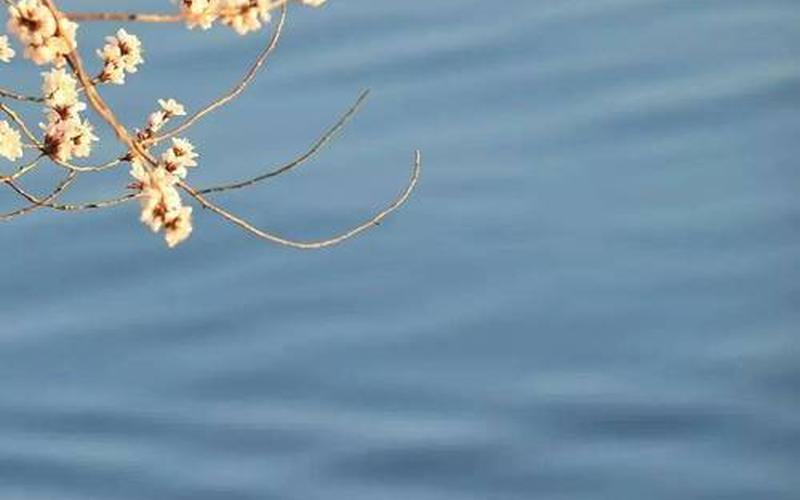 浮光跃金静影沉璧翻译-第1张图片-波音达百科