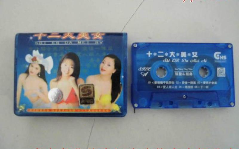 十二大美女闽南歌曲-第1张图片-波音达百科