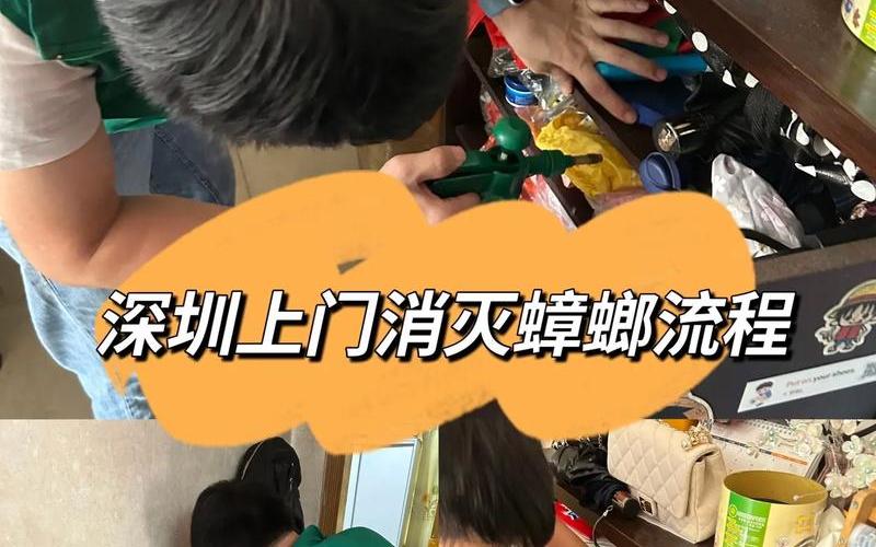 家庭灭蟑公司怎么收费-第1张图片-波音达百科