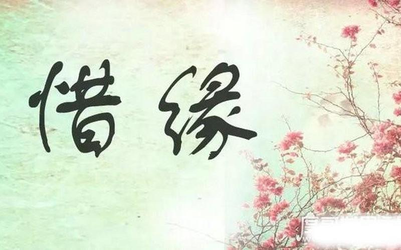 缘分让我们相遇是意外-第1张图片-波音达百科