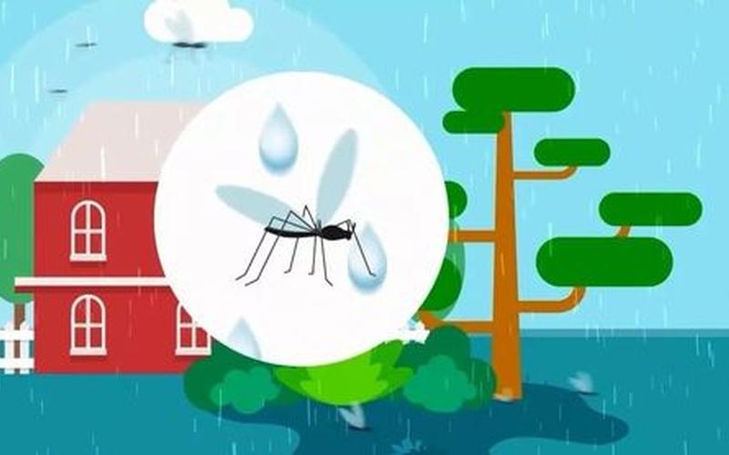 为什么蚊子不会被雨砸死-第1张图片-波音达百科