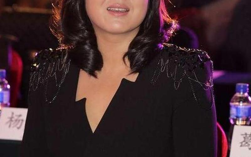 王茜华的个人资料-第1张图片-波音达百科