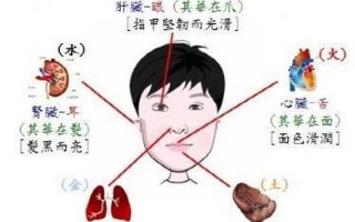 人的五官中哪个器官最怕冷