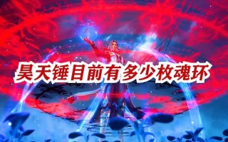 唐三一共有几个魂环