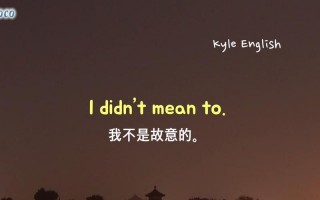 你也一样英语怎么说