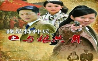 与狼共舞剧情简介