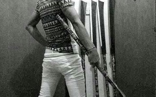 社会人是什么意思