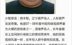 这是英雄联盟小智吗?英雄联盟有谁打的过小智
