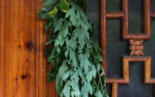 端午艾草怎么挂门上