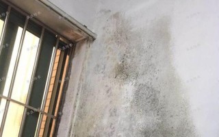 外墙渗水内墙做防水有用吗