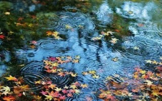 一场秋雨一场凉的下一句怎么说