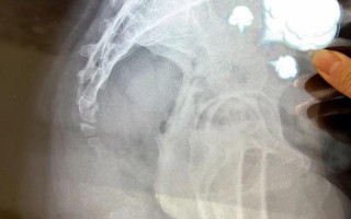 芭比q了什么意思梗