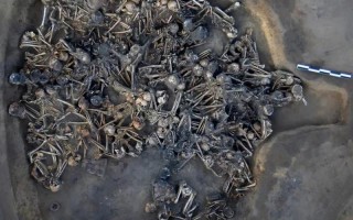 遗体残骸是什么意思