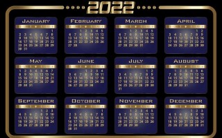 2022全年资料免费大全下载