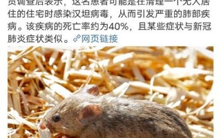 汉坦病毒是什么病毒