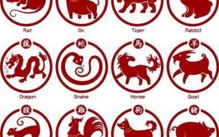 铜墙铁壁是什么生肖