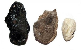 龙延香来自哪种动物