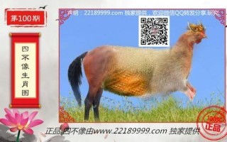 四不像特肖图2018 今天