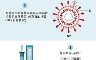 自测新冠的最简单 *** 