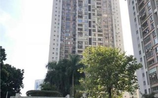 深圳一学区房降价600万出售