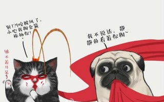 巴扎黑的小冠军3分钟视频