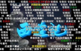 爷青回是什么意思