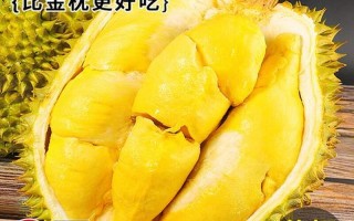 甲仑榴莲的特点是什么