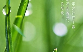 2022年几点几分立春