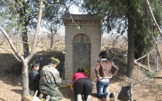 坟前栽树正确位置图片