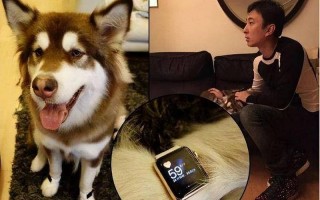 王思聪舅舅杀三任妻子