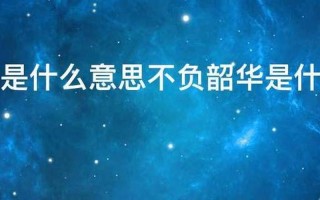不负韶华是什么意思啊